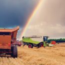 A harvest like no other